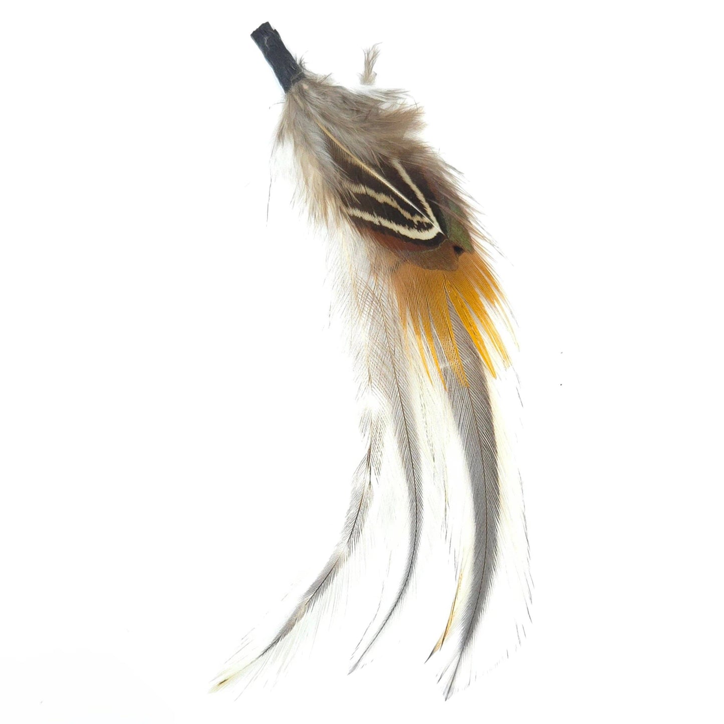 Greater Goods Imports & Wholesale - HT0079 GH1216 FEATHER: BR2