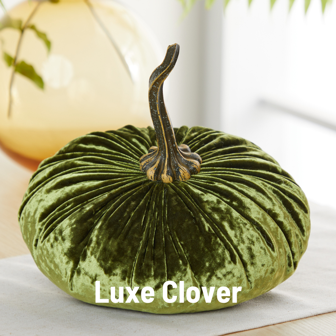 Your Heart's Content - Pumpkin Extra Large Velvet,  Fall Accent Decor, Centerpiece: Luxe Clover
