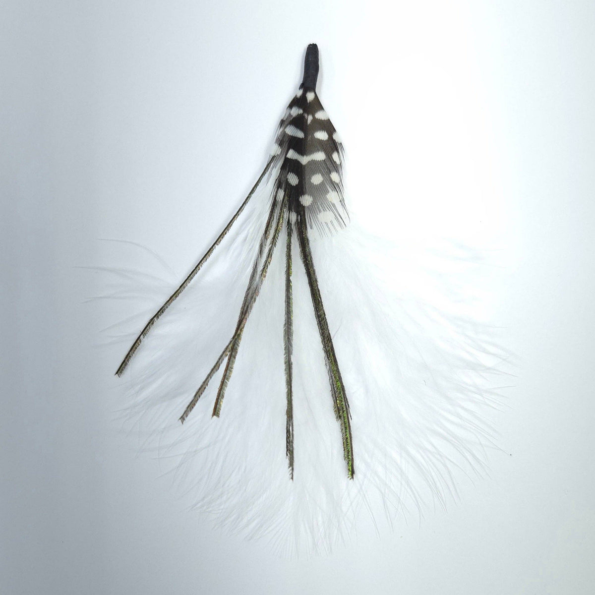 Greater Goods Imports- HT0078 GH1215 FEATHER: WHITE LIME