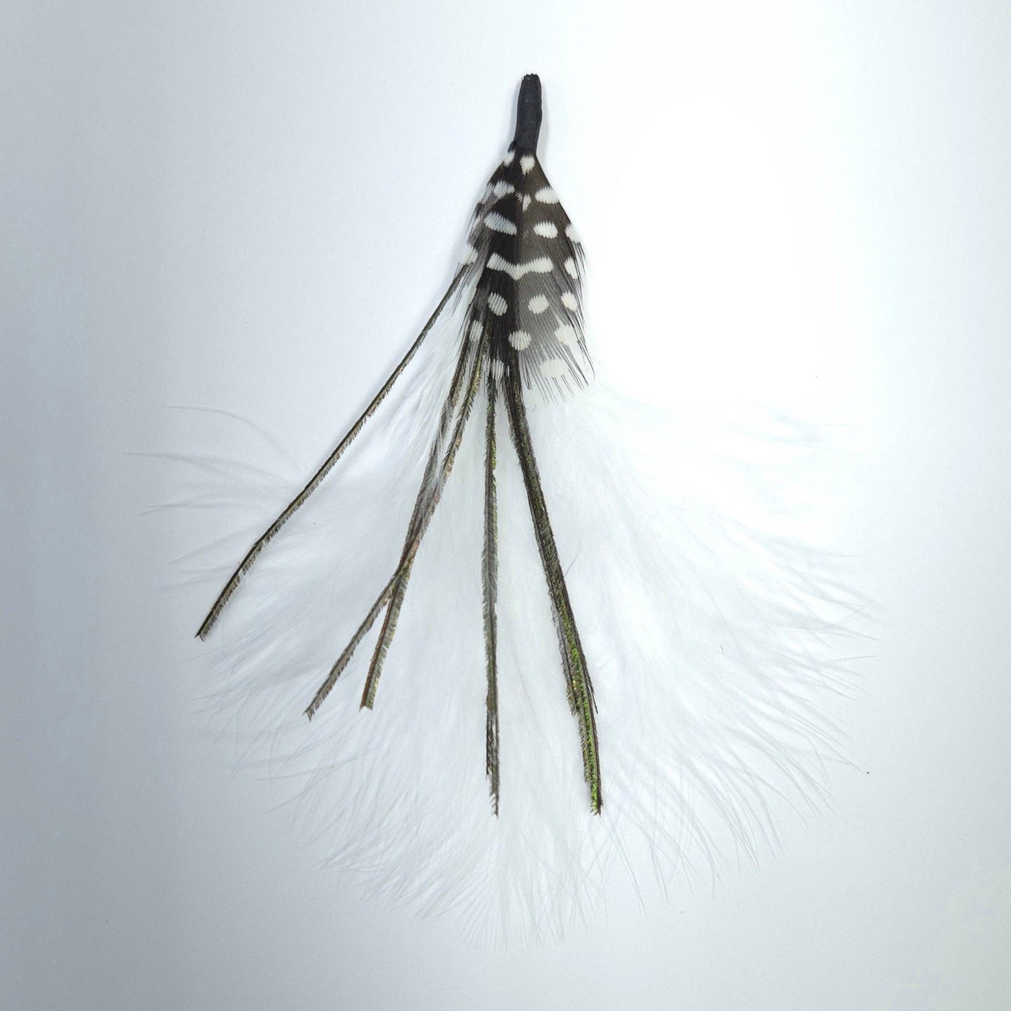 Greater Goods Imports- HT0078 GH1215 FEATHER: BROWN BLACK
