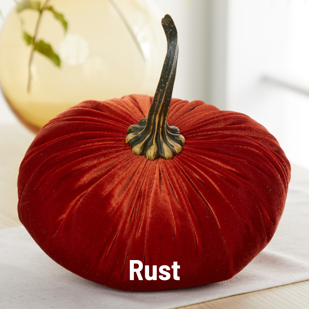 Your Heart's Content - Pumpkin Extra Large Velvet,  Fall Accent Decor, Centerpiece: Luxe Burnt Orange