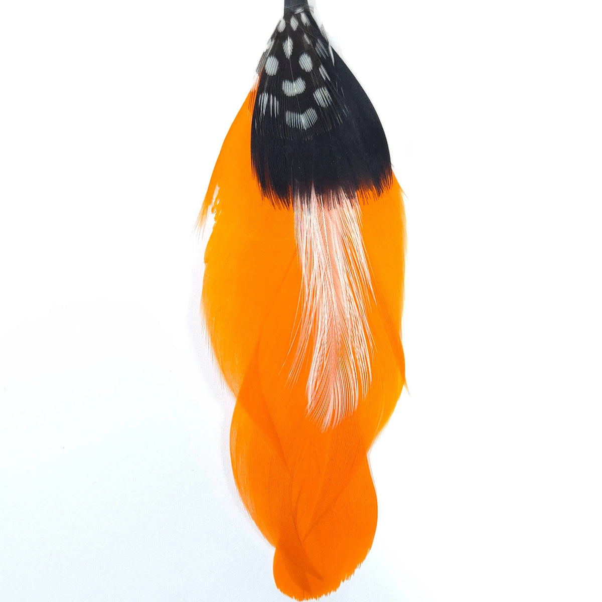 Greater Goods Imports- HT0076 GH1213 FEATHER: BLACK BLUE