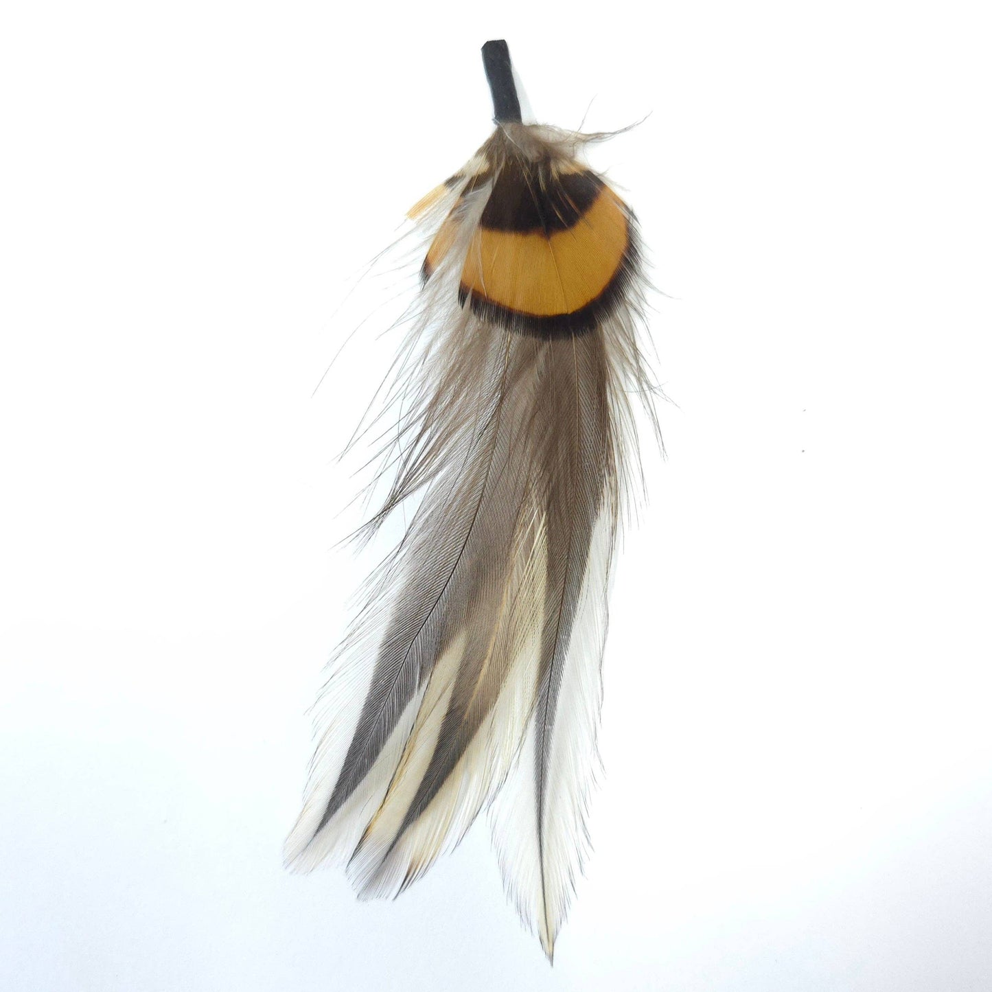 Greater Goods Imports & Wholesale - HT0079 GH1216 FEATHER: BR3