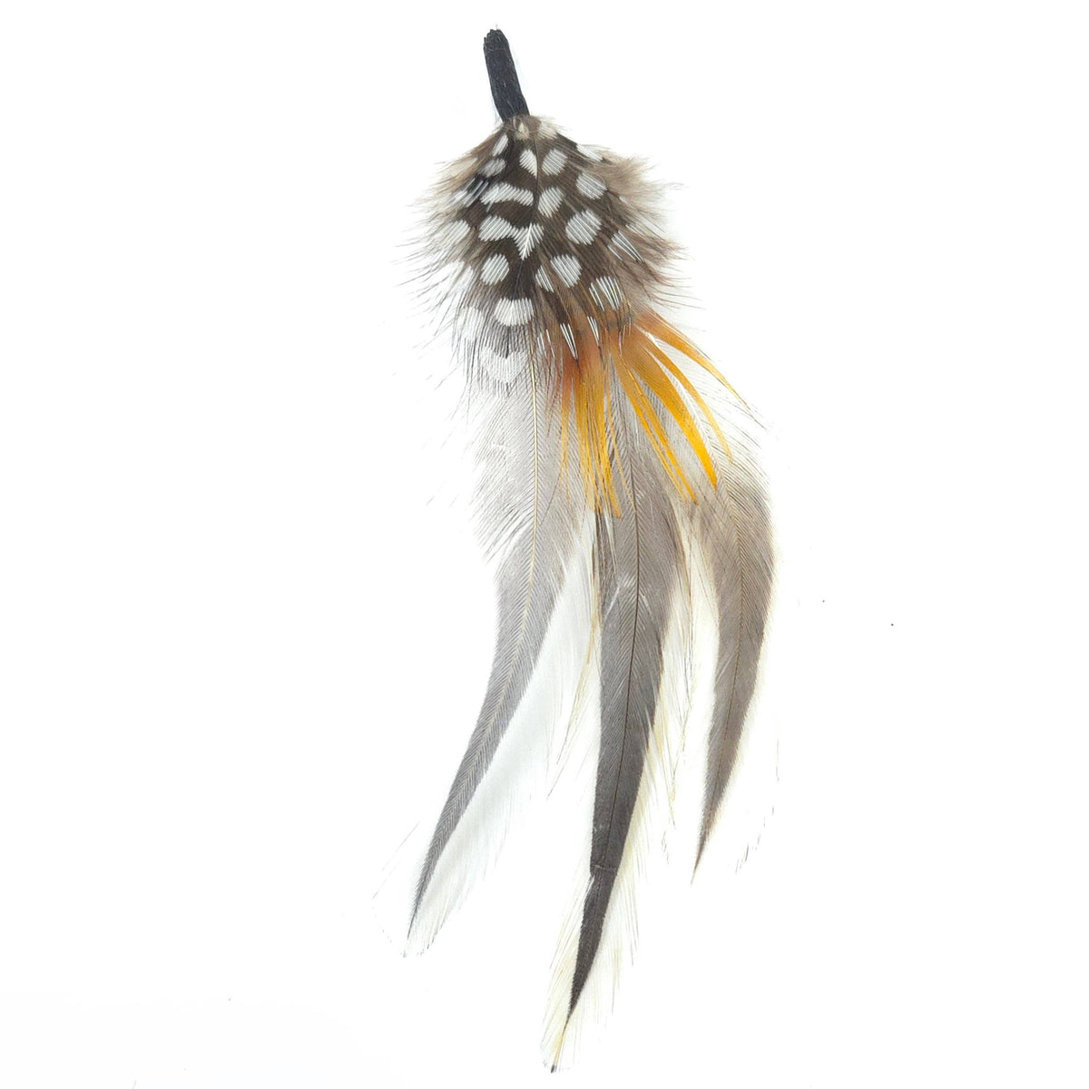 Greater Goods Imports & Wholesale - HT0079 GH1216 FEATHER: BR2