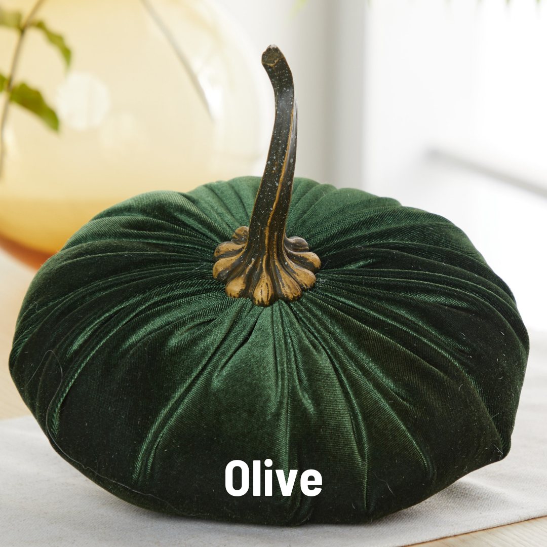 Your Heart's Content - Pumpkin Extra Large Velvet,  Fall Accent Decor, Centerpiece: Luxe Clover
