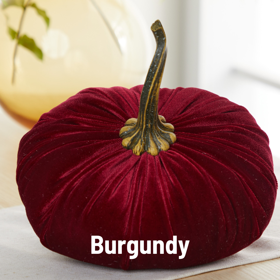 Your Heart's Content - Pumpkin Extra Large Velvet,  Fall Accent Decor, Centerpiece: Luxe Burnt Orange
