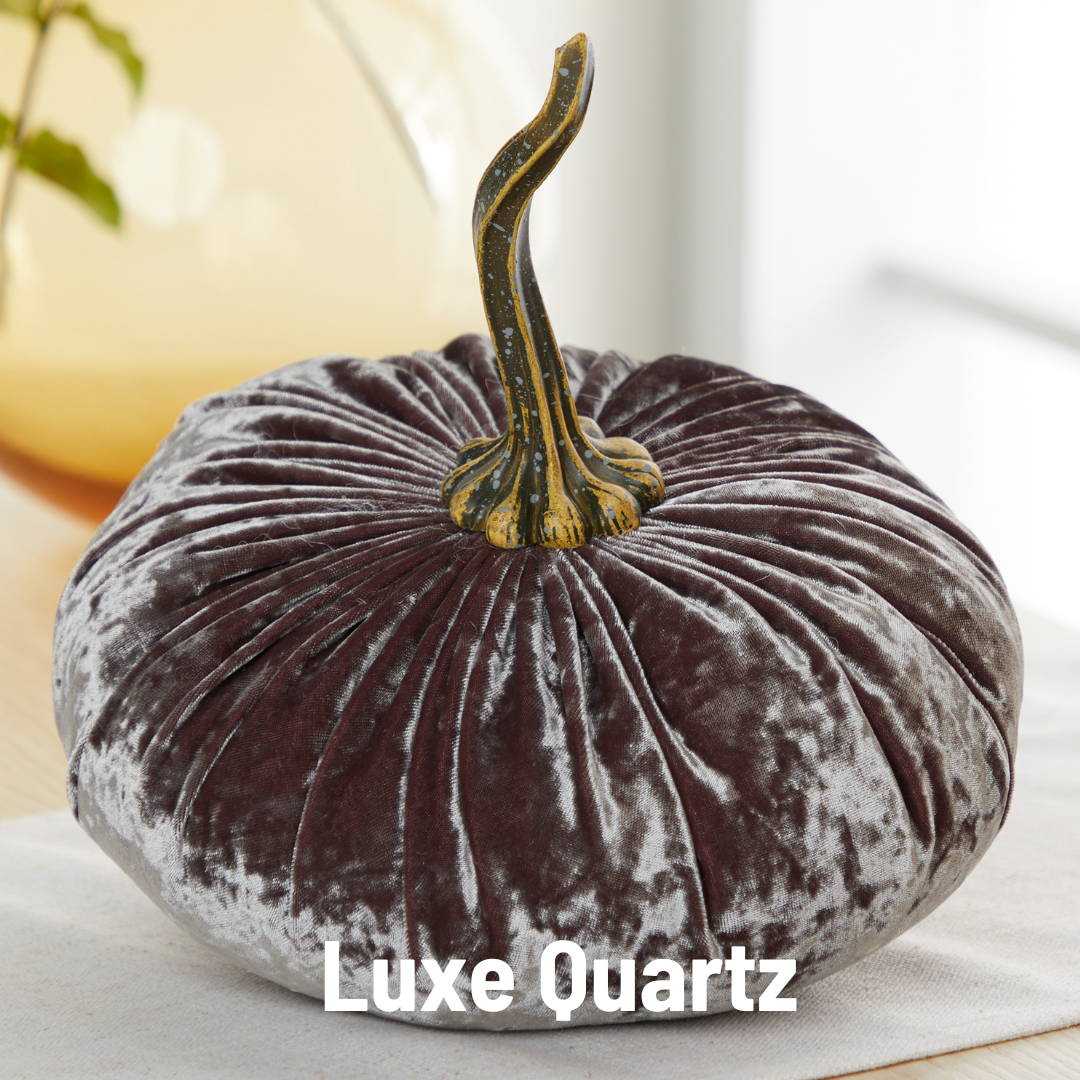 Your Heart's Content - Pumpkin Extra Large Velvet,  Fall Accent Decor, Centerpiece: Luxe Clover