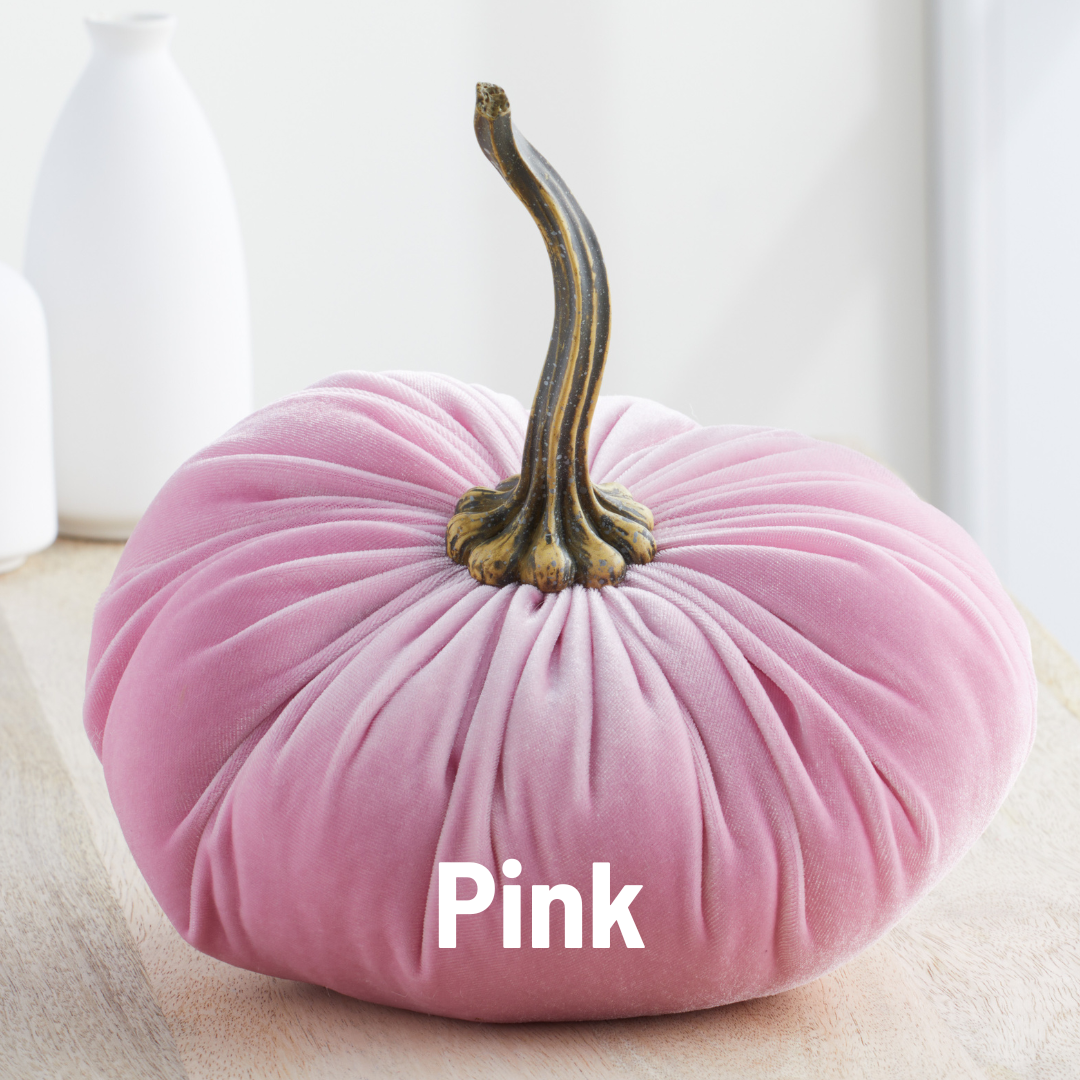 Your Heart's Content - Pumpkin Extra Large Velvet,  Fall Accent Decor, Centerpiece: Luxe Clover