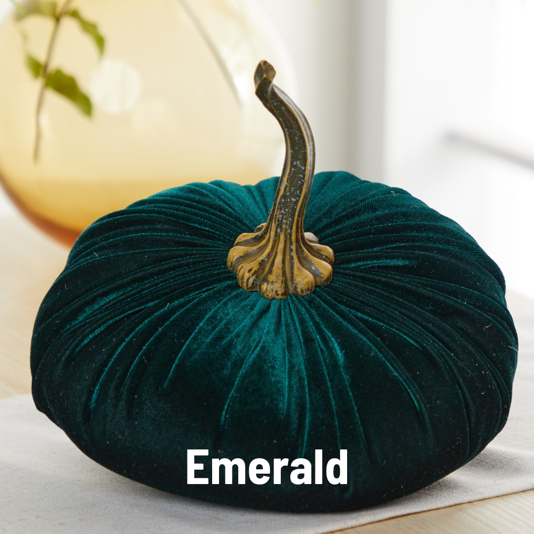 Your Heart's Content - Pumpkin Extra Large Velvet,  Fall Accent Decor, Centerpiece: Luxe Burnt Orange
