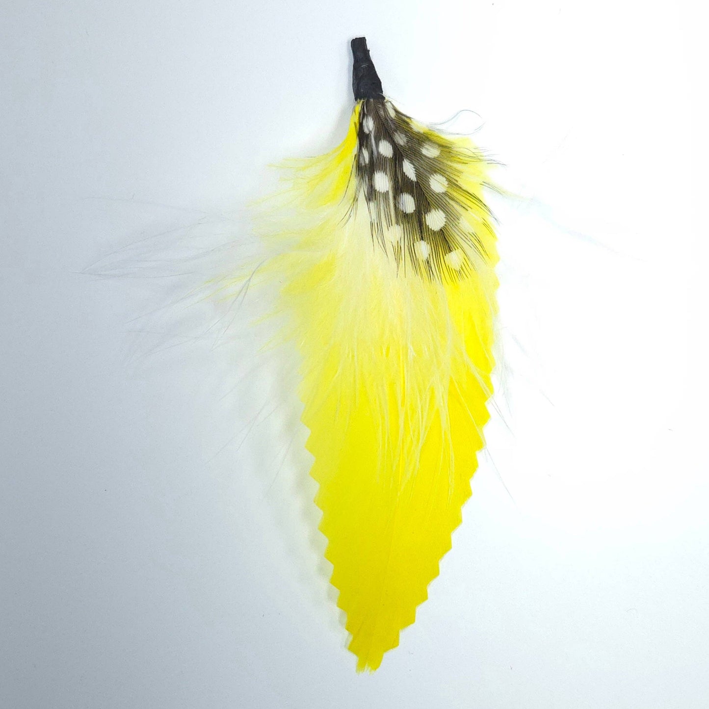 Greater Goods Imports- HT0076 GH1213 FEATHER: BLACK BROWN