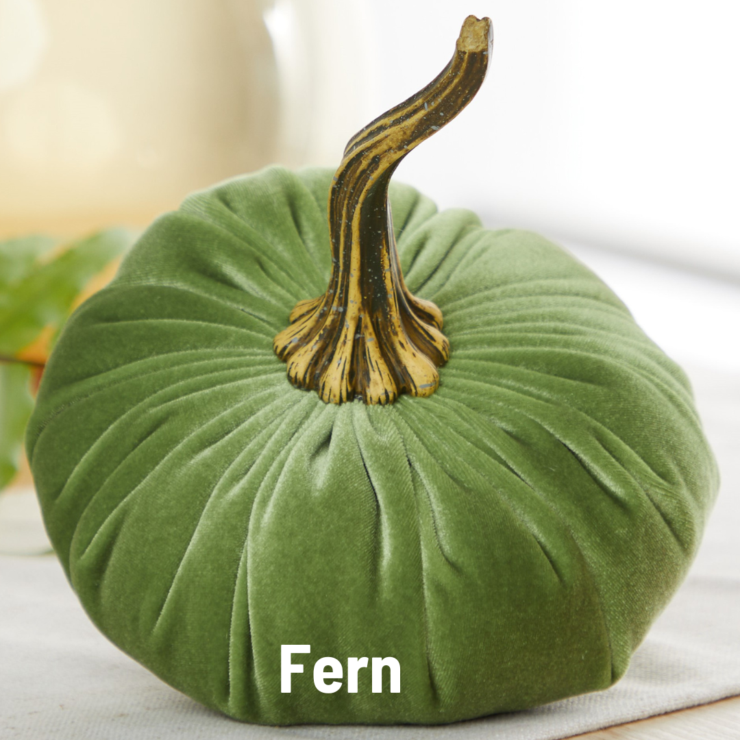 Your Heart's Content - Pumpkin Large Velvet, Fall Decor, Shelf Sitter, Tablescape: Luxe Medallion