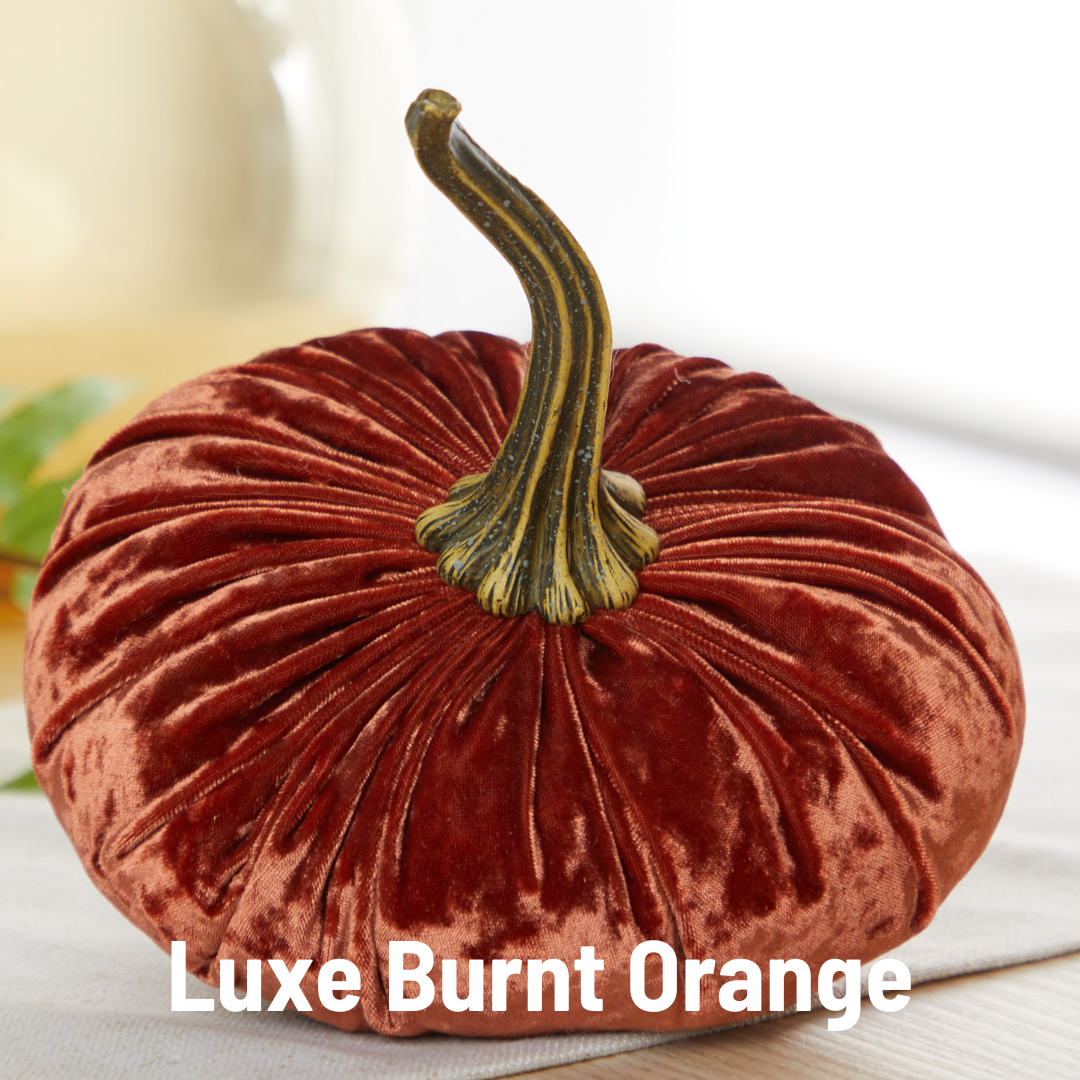 Your Heart's Content - Pumpkin Large Velvet, Fall Decor, Shelf Sitter, Tablescape: Gold