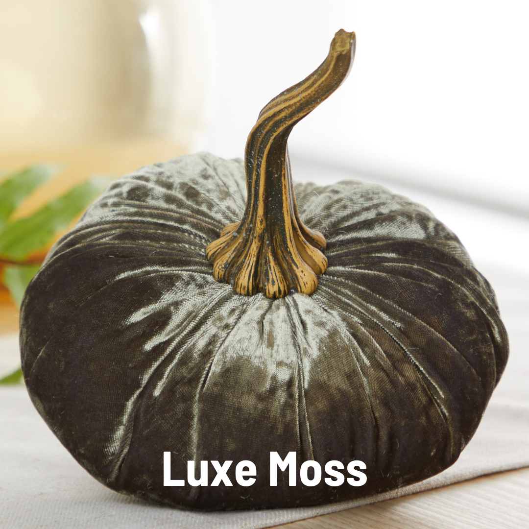 Your Heart's Content - Pumpkin Large Velvet, Fall Decor, Shelf Sitter, Tablescape: Gold