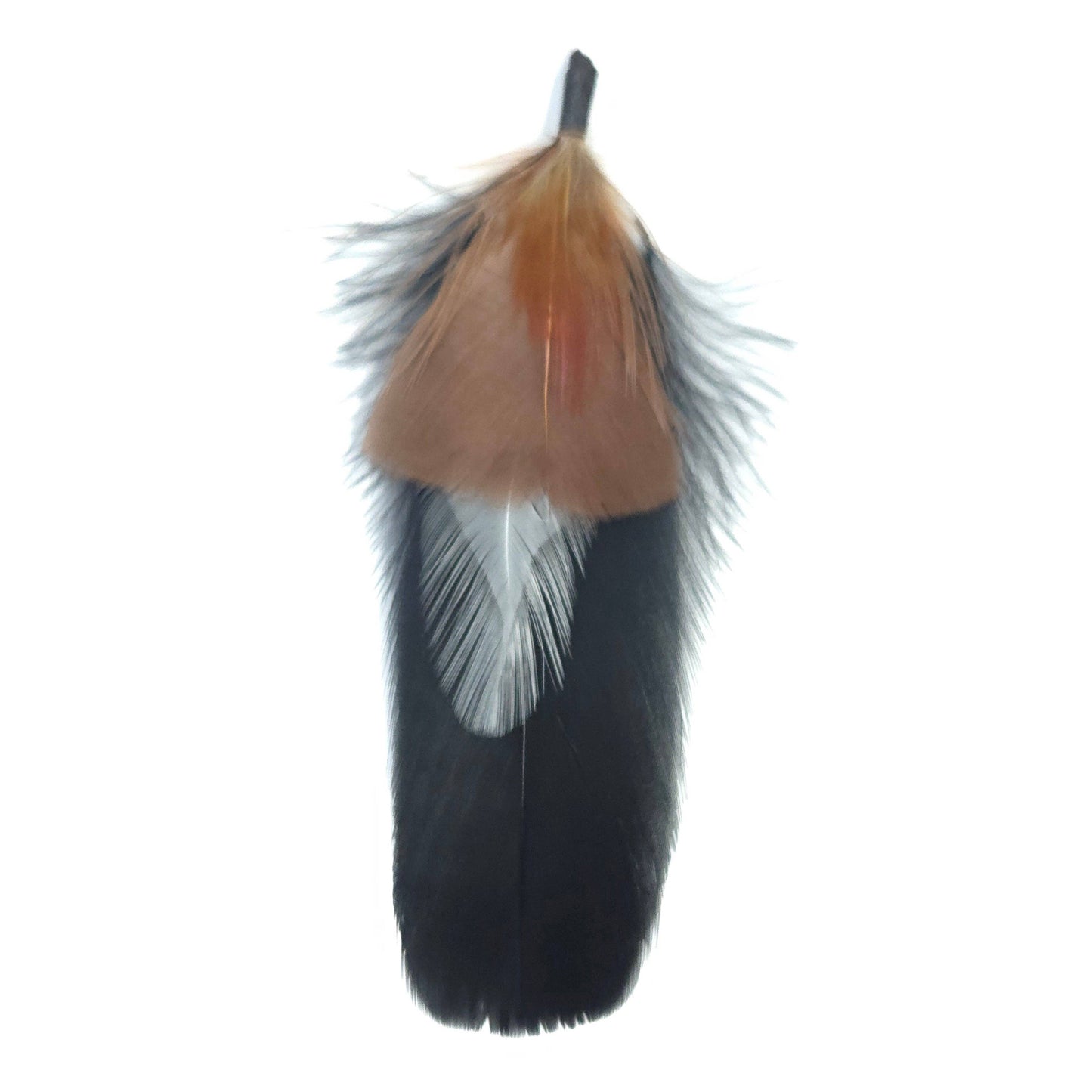 Greater Goods Imports- HT0080 GH1217 FEATHER: BROWN