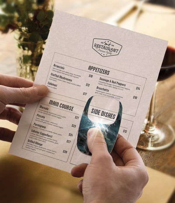 DM Merchandising - Optimum Optical The Hobbyist OptiCard LED Pocket Magnifier