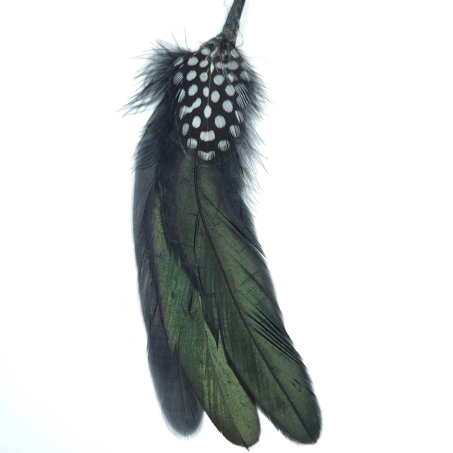 Greater Goods Imports- HT0076 GH1213 FEATHER: BLACK BLUE
