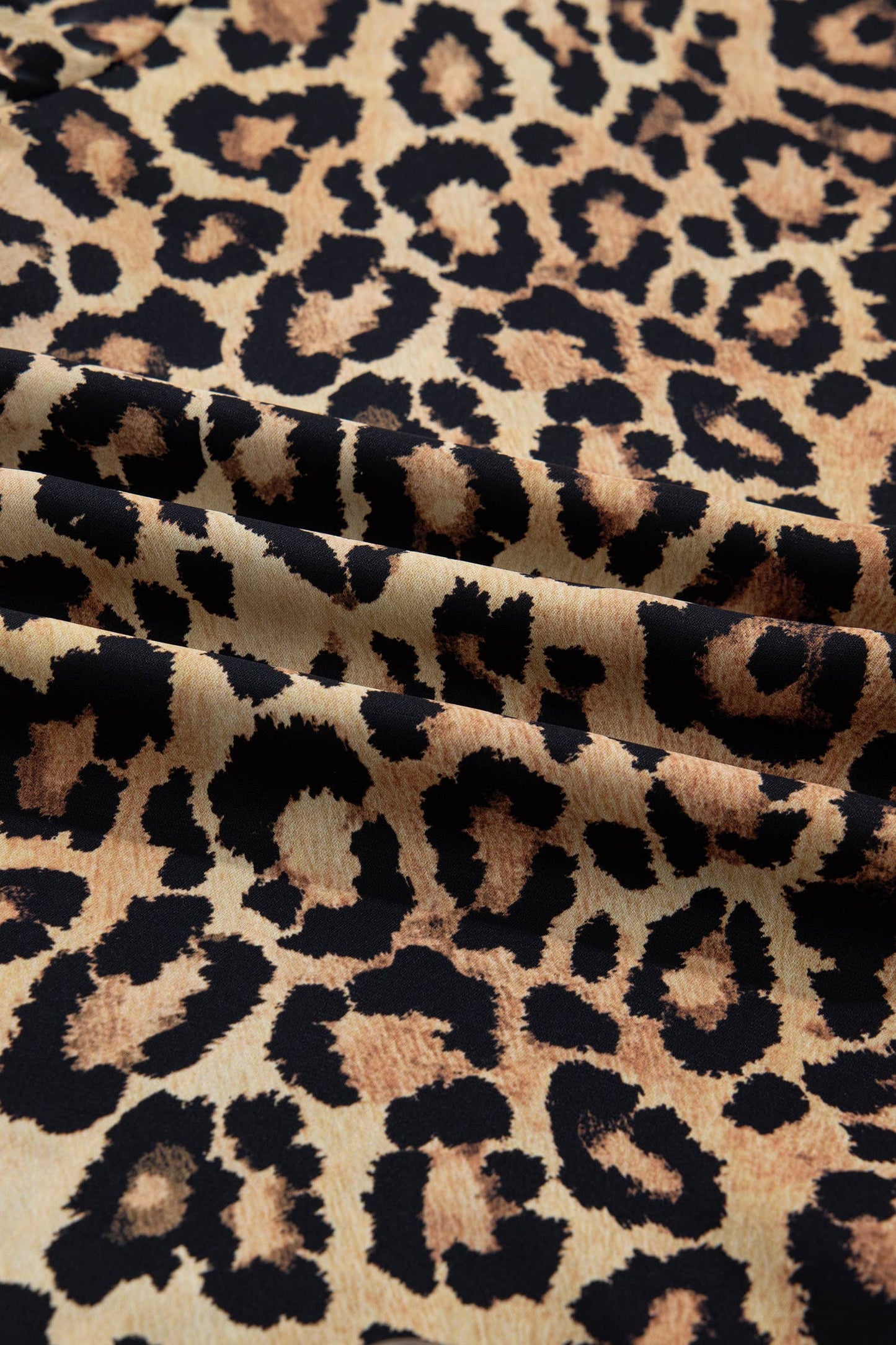 66DISCO - Leopard Print Stripe Frilled Mock Neck Shirt (S-XL): Brown / Missy / XL