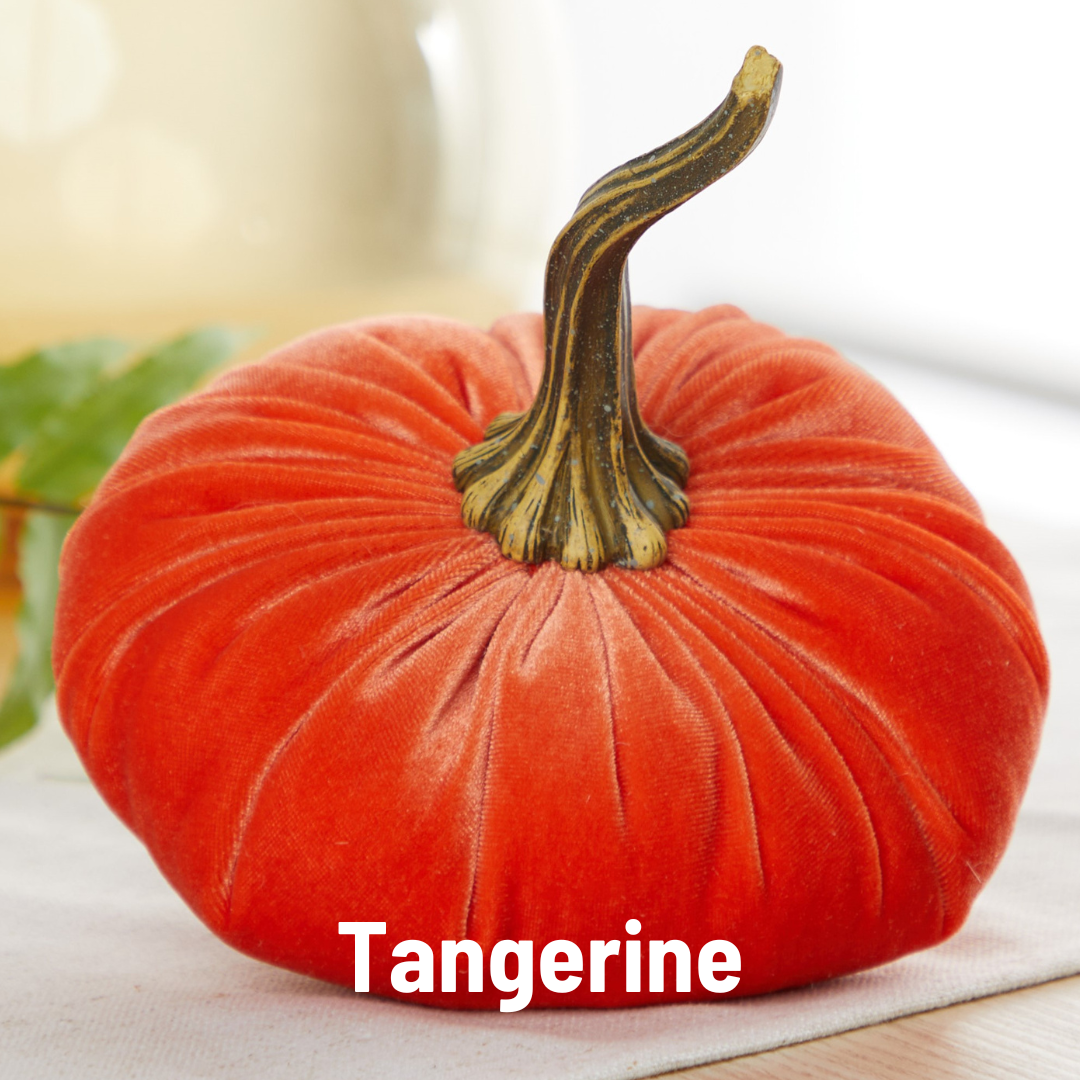Your Heart's Content - Pumpkin Large Velvet, Fall Decor, Shelf Sitter, Tablescape: Luxe Medallion