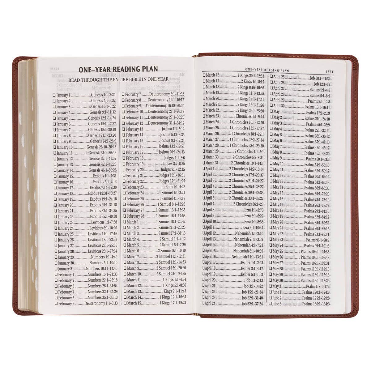 Christian Art Gifts - KJV Bible Giant Print Standard-size Faux Leather, Saddle Tan