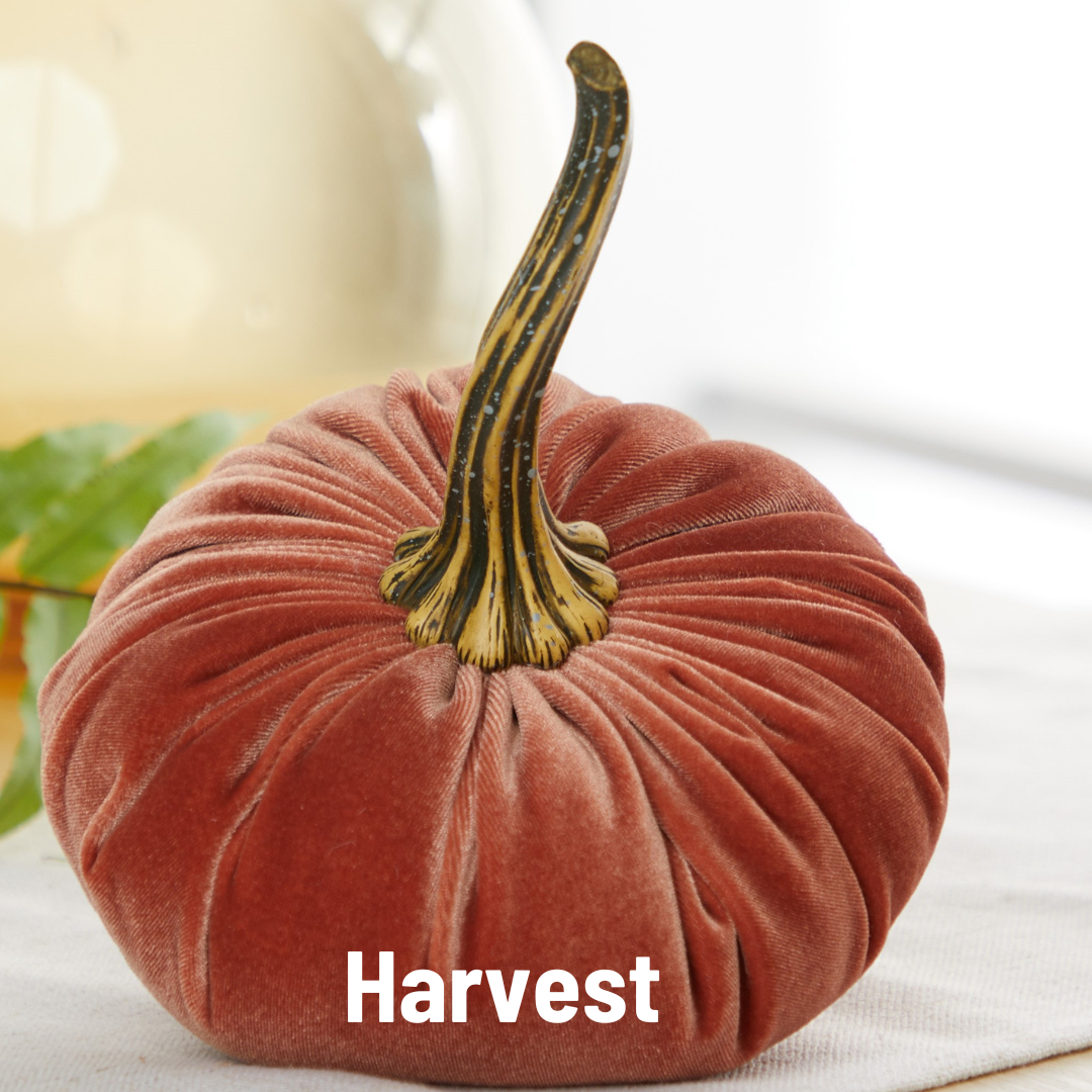 Your Heart's Content - Pumpkin Large Velvet, Fall Decor, Shelf Sitter, Tablescape: Gold