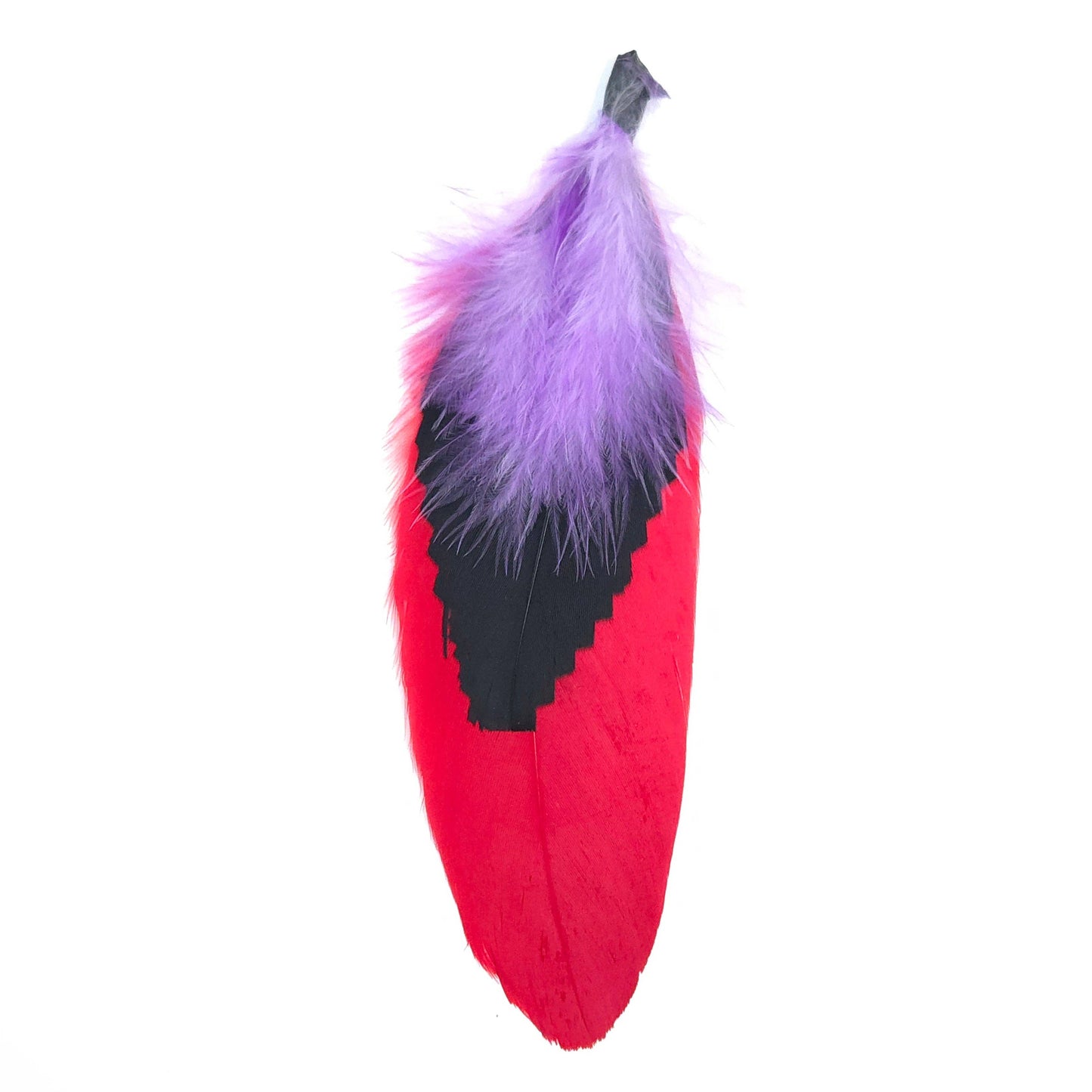 Greater Goods Imports- HT0080 GH1217 FEATHER: Red Black Purple