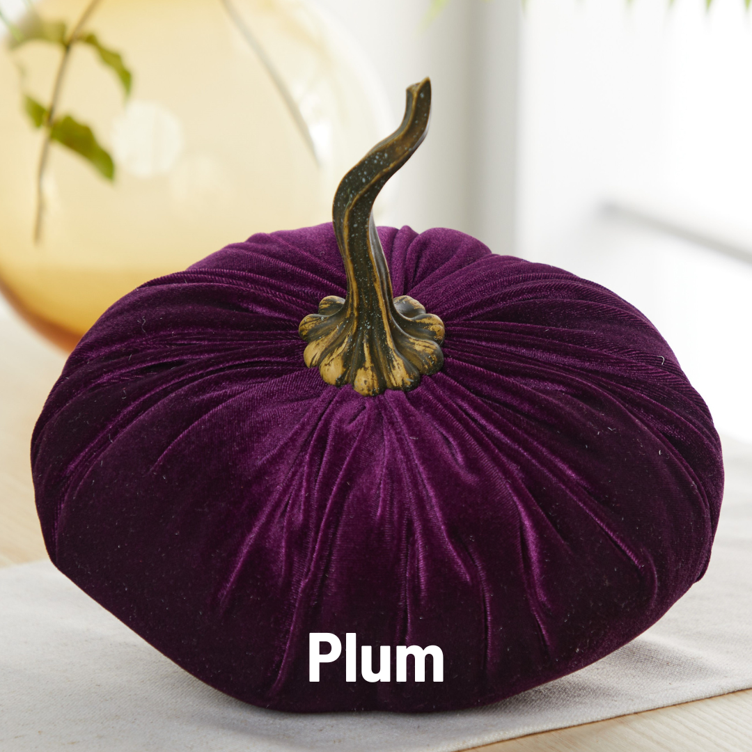 Your Heart's Content - Pumpkin Extra Large Velvet,  Fall Accent Decor, Centerpiece: Luxe Clover