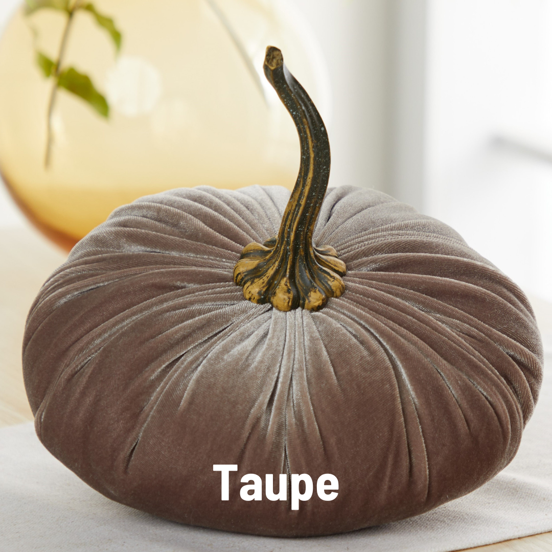 Your Heart's Content - Pumpkin Extra Large Velvet,  Fall Accent Decor, Centerpiece: Luxe Burnt Orange