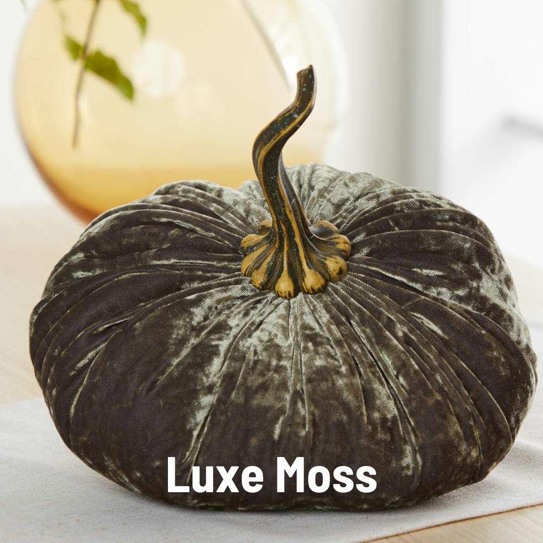 Your Heart's Content - Pumpkin Extra Large Velvet,  Fall Accent Decor, Centerpiece: Burgundy