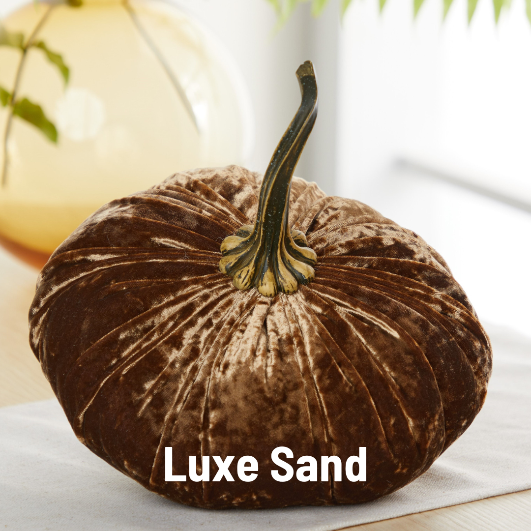 Your Heart's Content - Pumpkin Extra Large Velvet,  Fall Accent Decor, Centerpiece: Luxe Clover