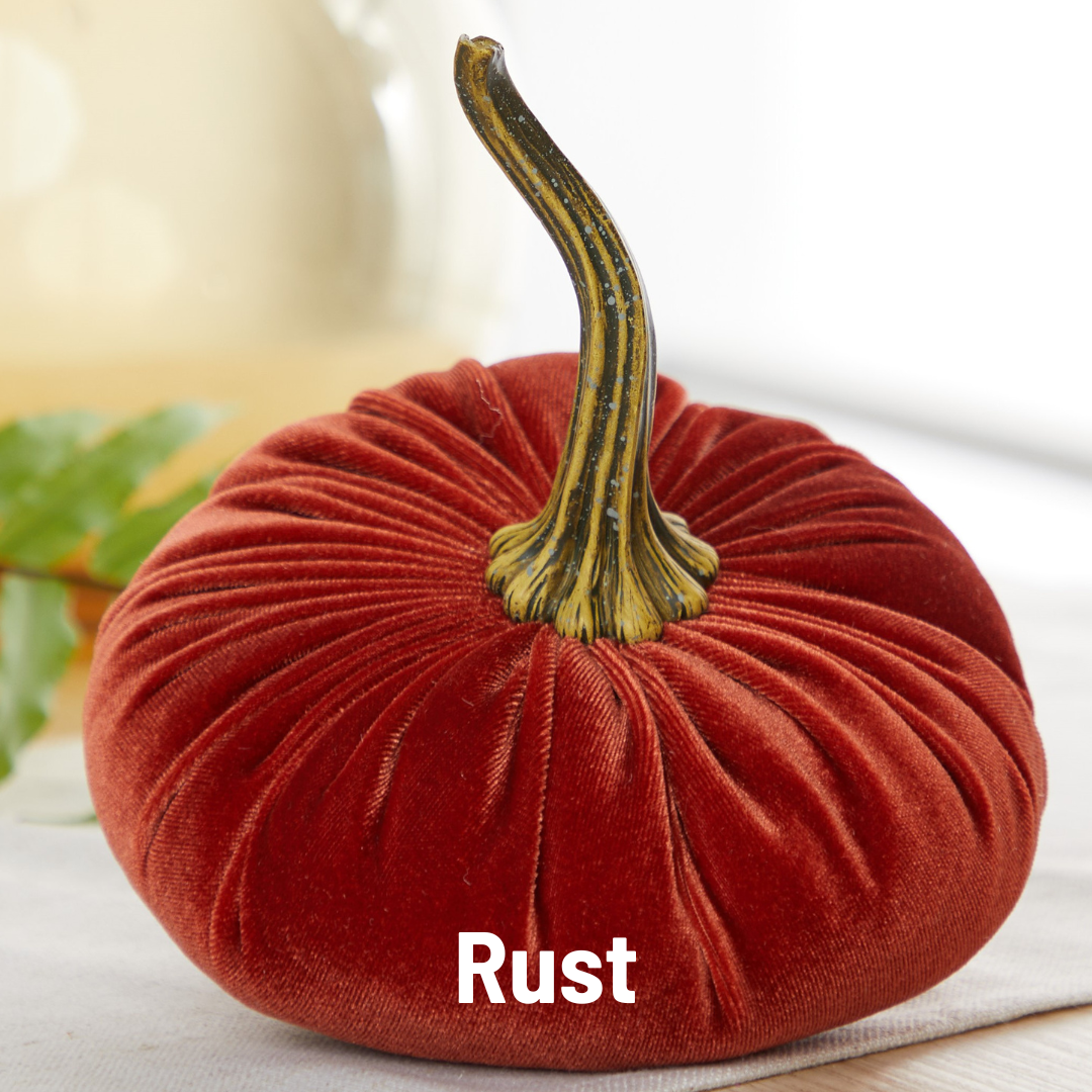 Your Heart's Content - Pumpkin Large Velvet, Fall Decor, Shelf Sitter, Tablescape: Gold