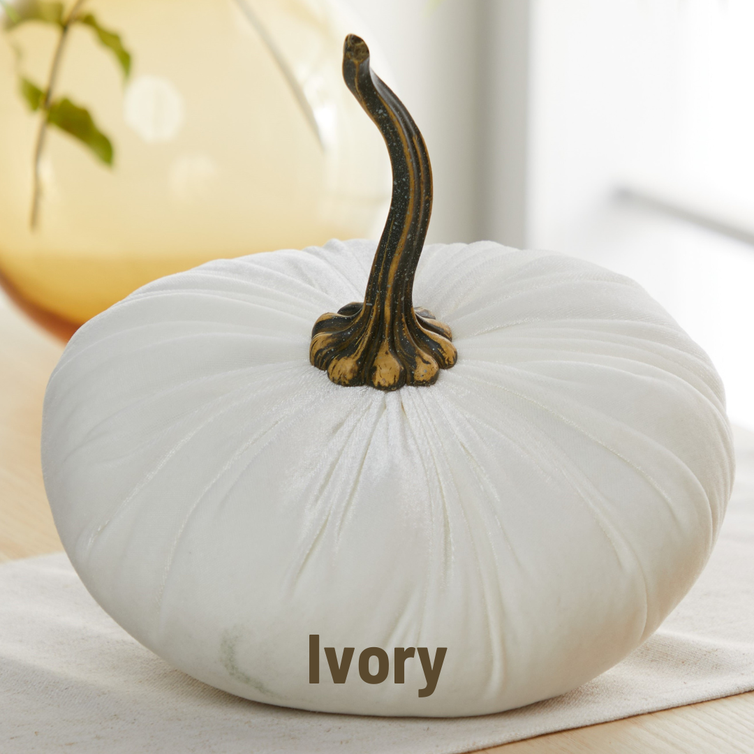 Your Heart's Content - Pumpkin Extra Large Velvet,  Fall Accent Decor, Centerpiece: Luxe Clover