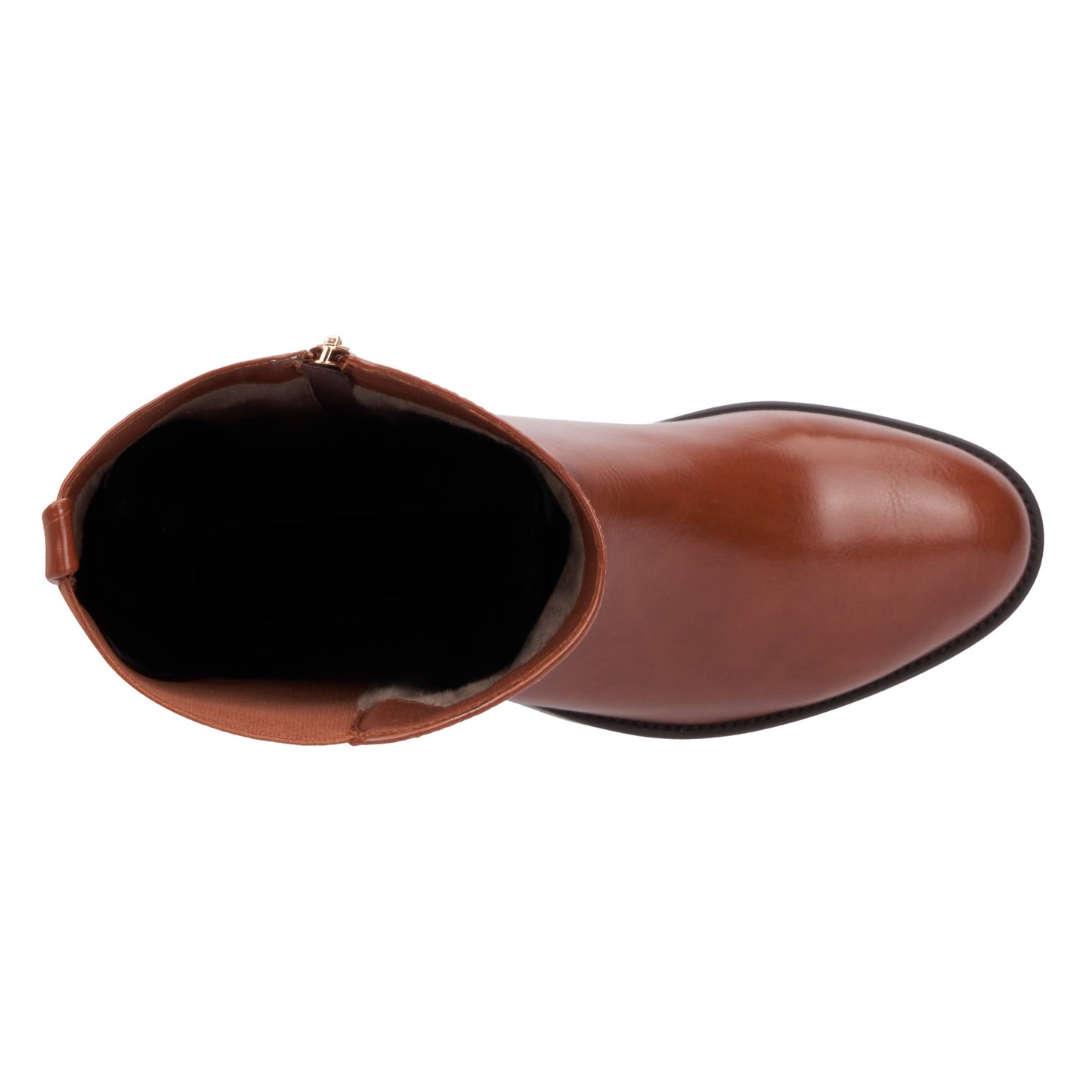 S3 Holding - Torgeis Women's Danelle Tall Boots: COFFEE BEAN / 6