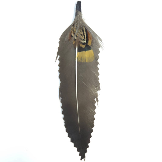 Greater Goods Imports- HT0080 GH1217 FEATHER: BROWN