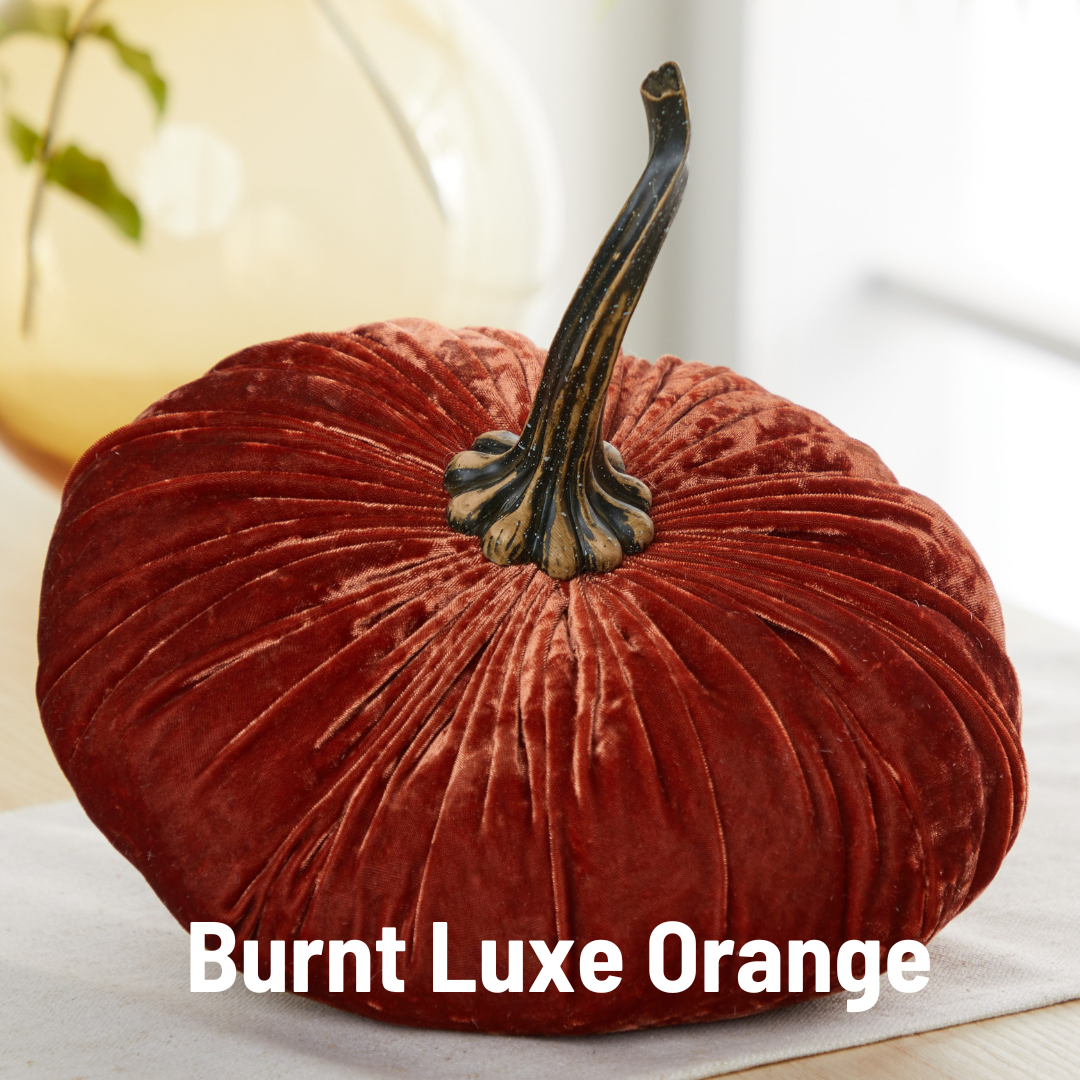 Your Heart's Content - Pumpkin Extra Large Velvet,  Fall Accent Decor, Centerpiece: Luxe Clover