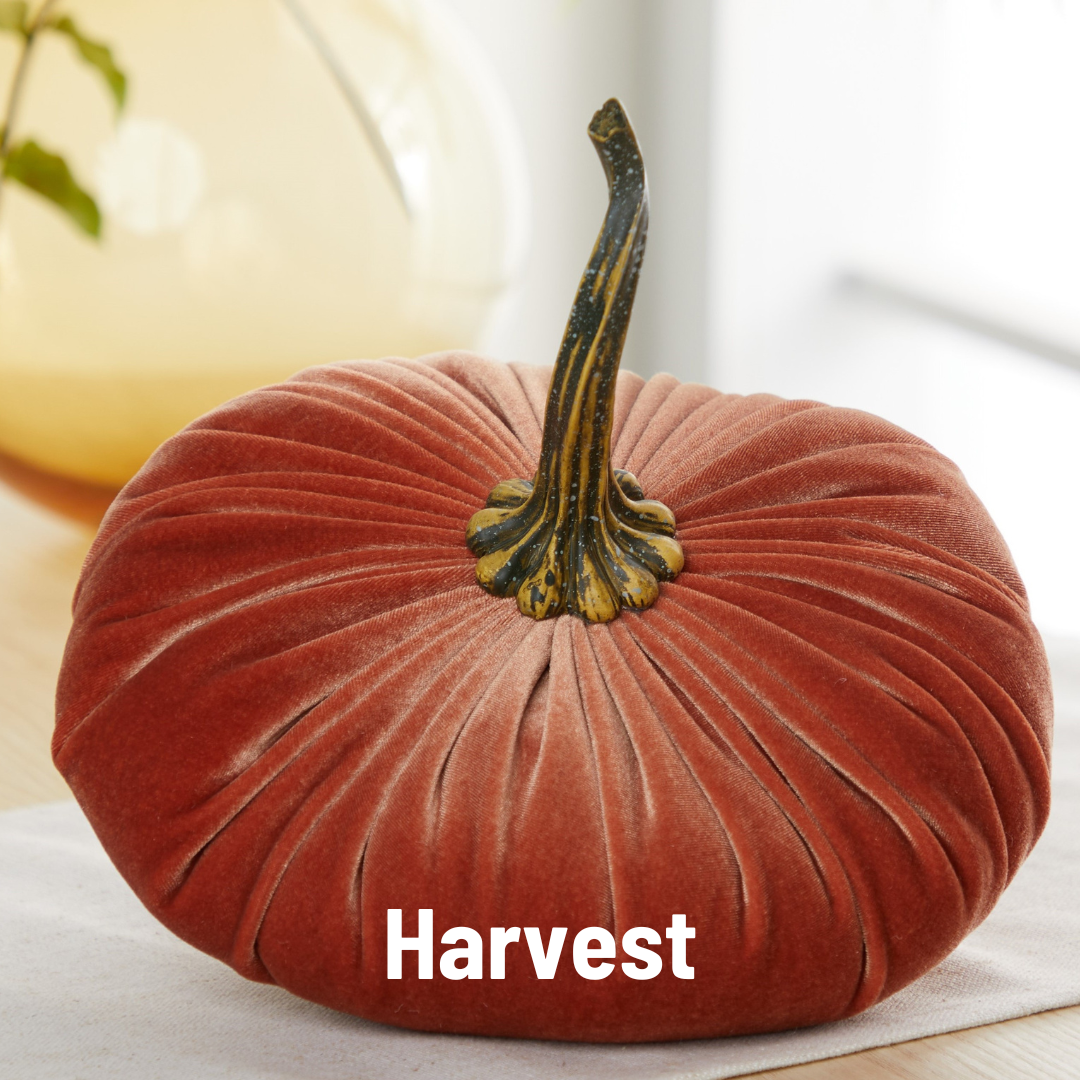 Your Heart's Content - Pumpkin Extra Large Velvet,  Fall Accent Decor, Centerpiece: Burgundy